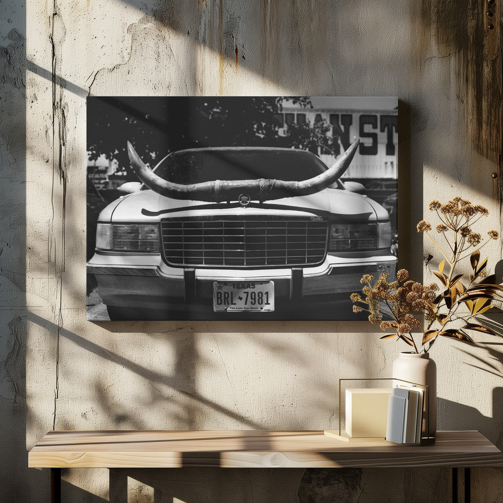 Randonnée au Texas | Tableaux sur Toile