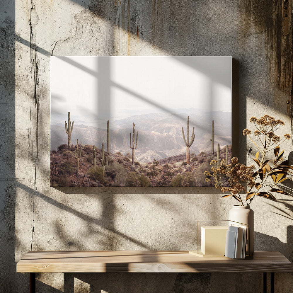 Arizonadalen | Canvastavla