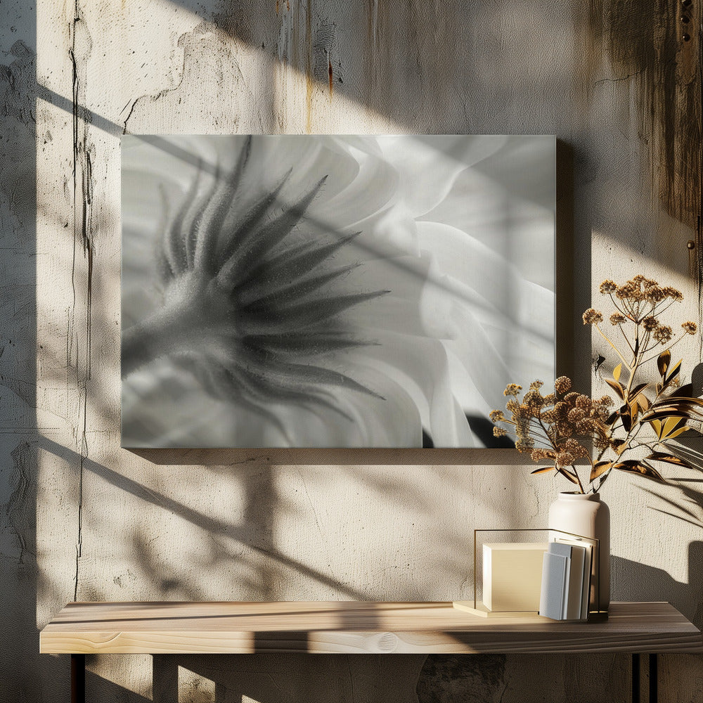 Ringelblume | Leinwand-Bilder