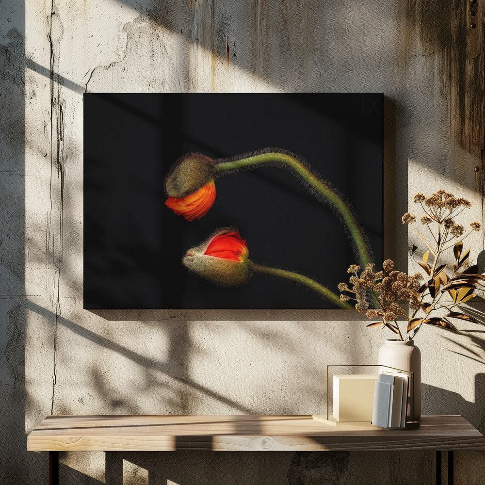Tango Argentino | Canvas
