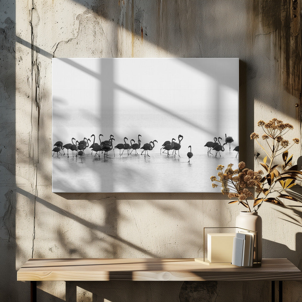 Flamingos | Canvastavla