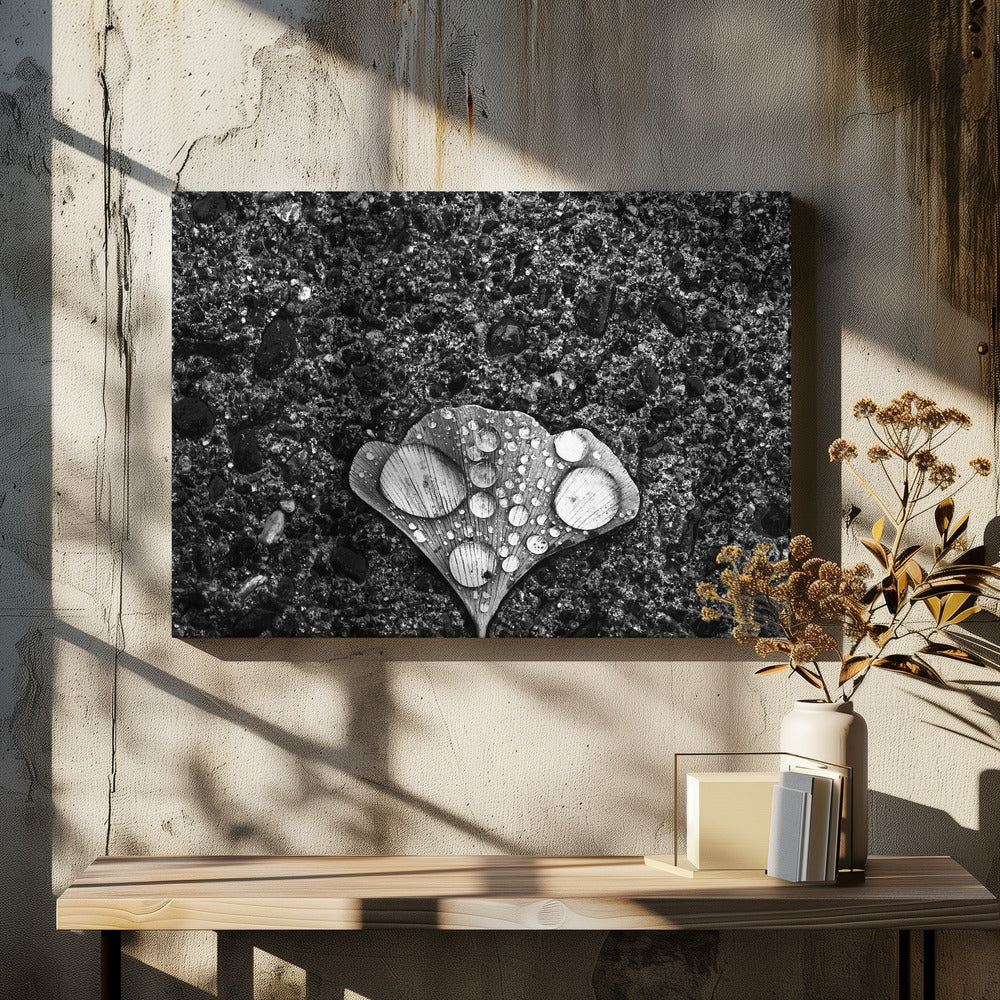 Tau | Leinwand-Bilder