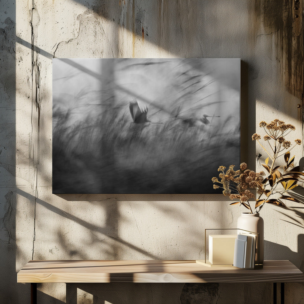 Aus heiterem Himmel | Leinwand-Bilder
