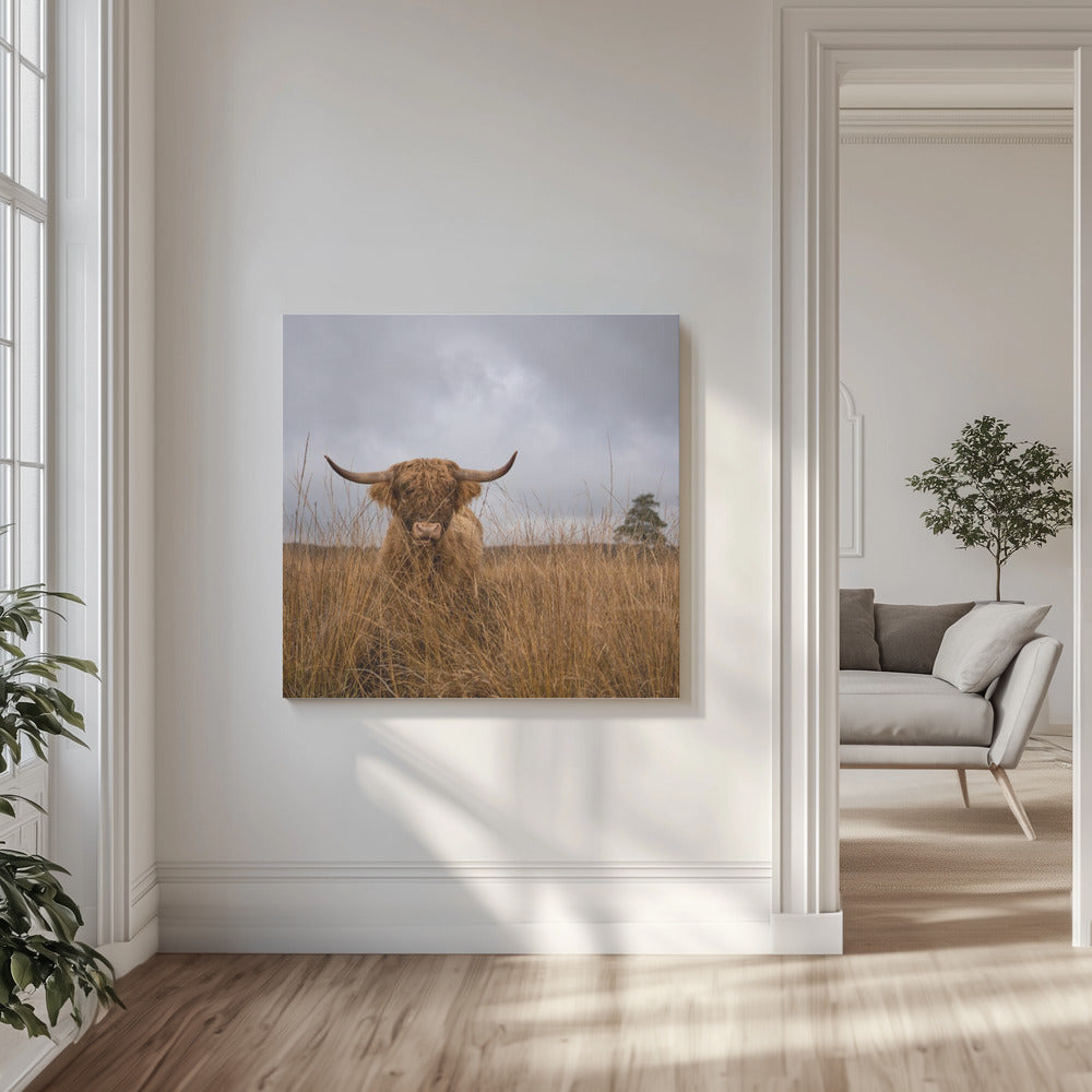 Det var inte jag | Canvas