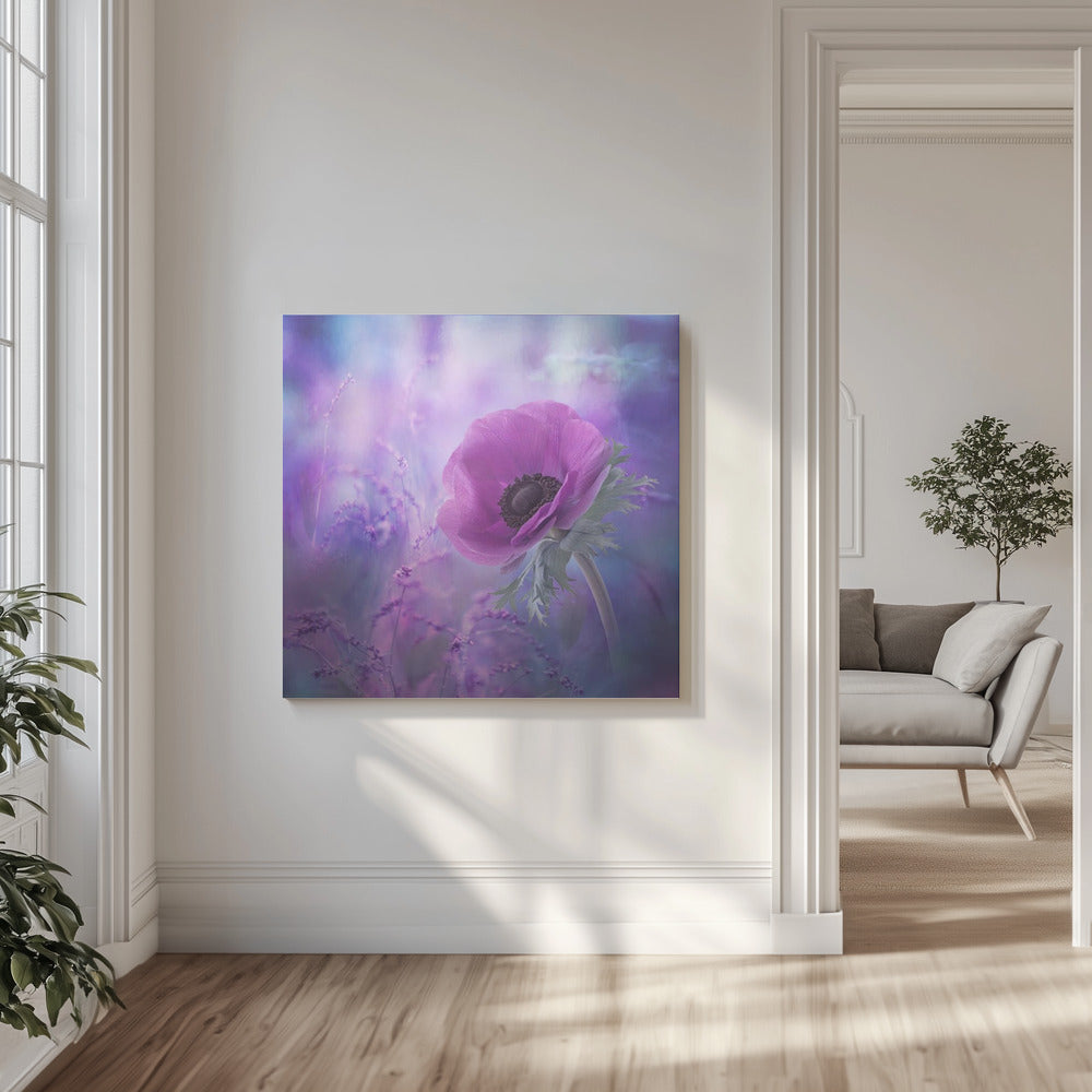 Extas | Canvas