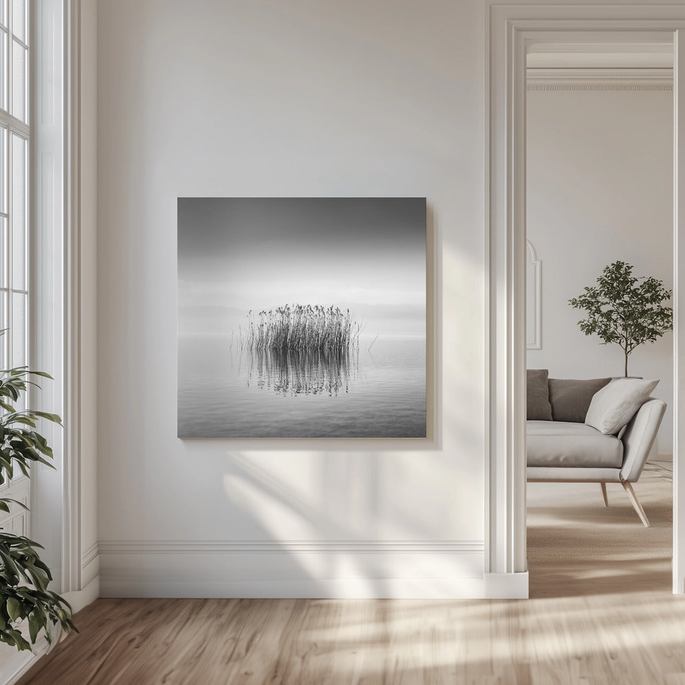 Black and White Silence | Canvas