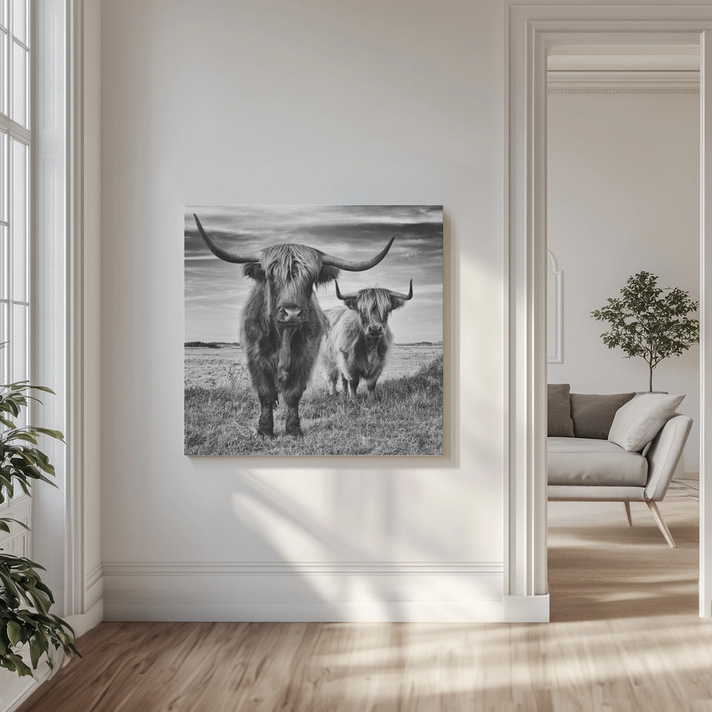 Höglandet | Canvas