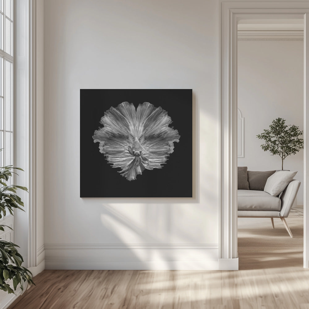 Die Blume des Schwanzes | Leinwand-Bilder