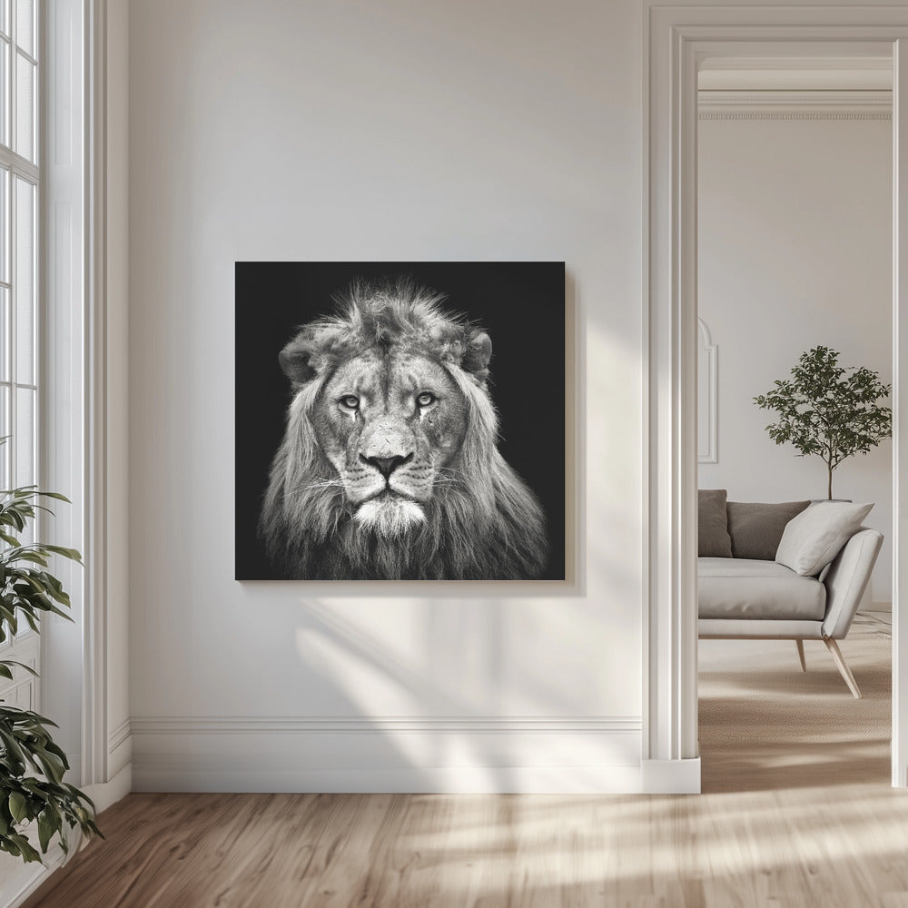Ung hanlejon | Canvas