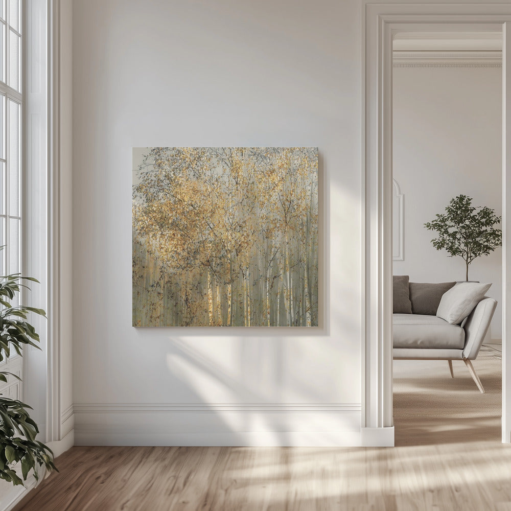 Birkenimpression | Leinwand-Bilder