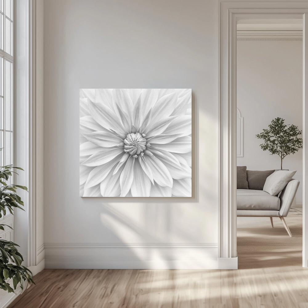 Hamari guld i monokrom | Canvas