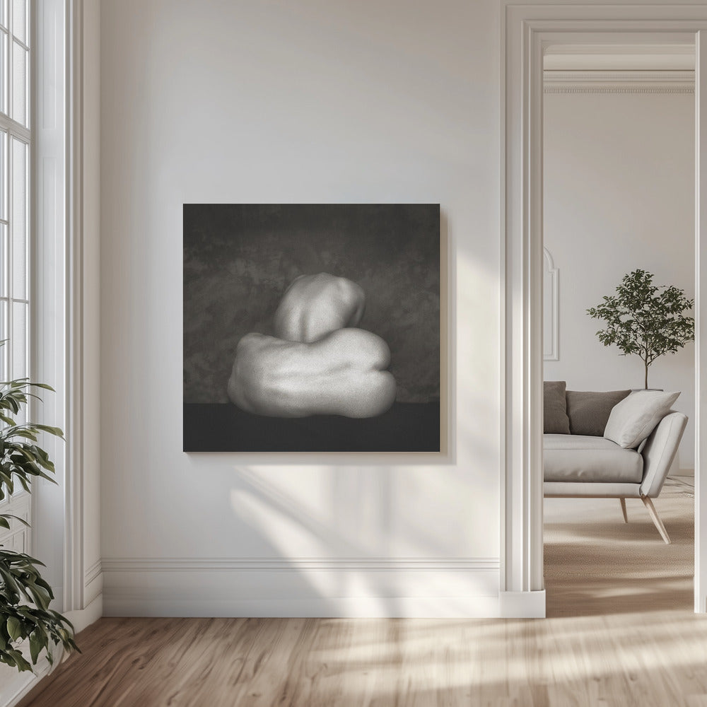 to som er ensomme | Lerretsbilder