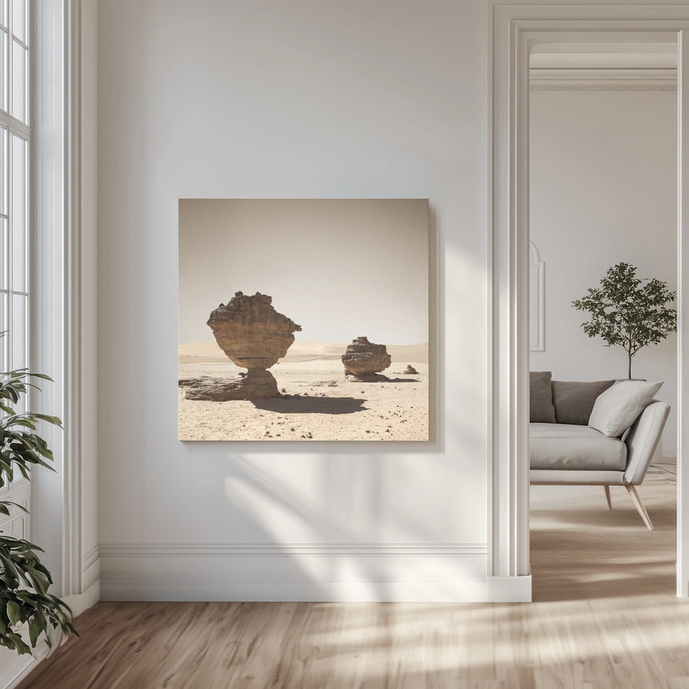 Erg Admer | Canvas