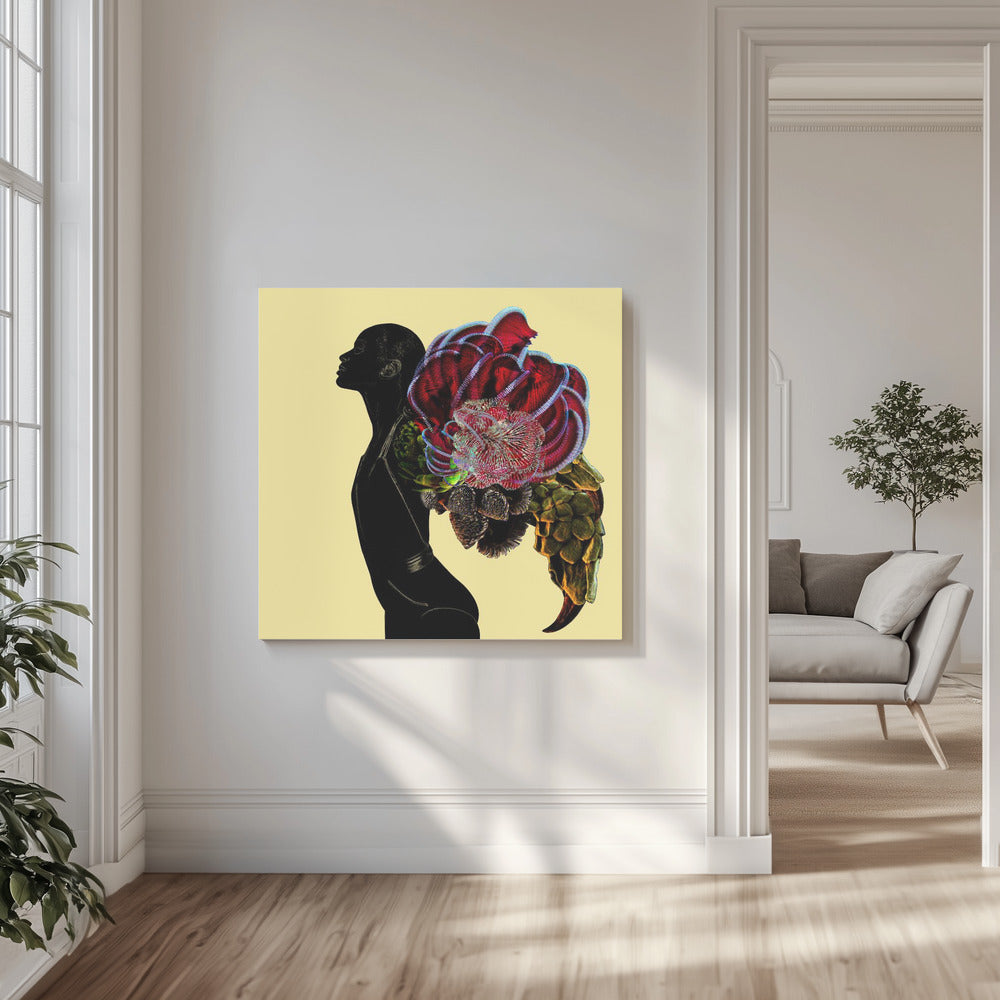 Fenix | Canvas