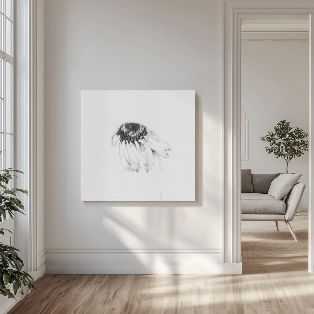 Stämningsfull blomma | Canvastavla
