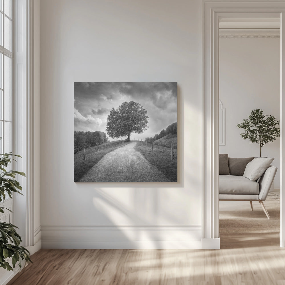Under svarta himlar | Canvas