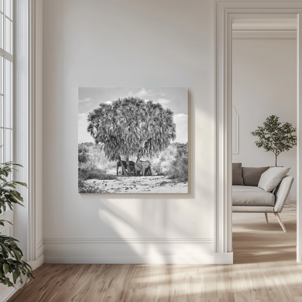 Middagsmöte | Canvas