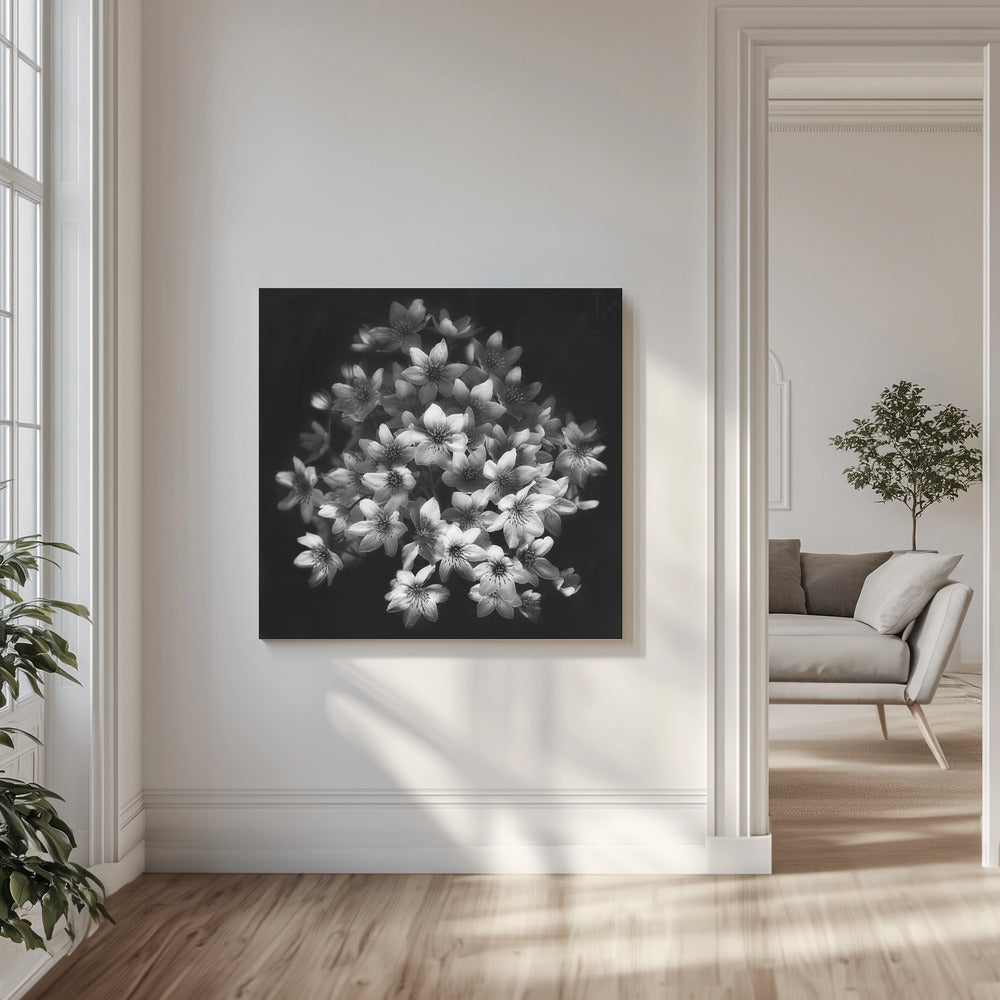 Tidig känsla | Canvas