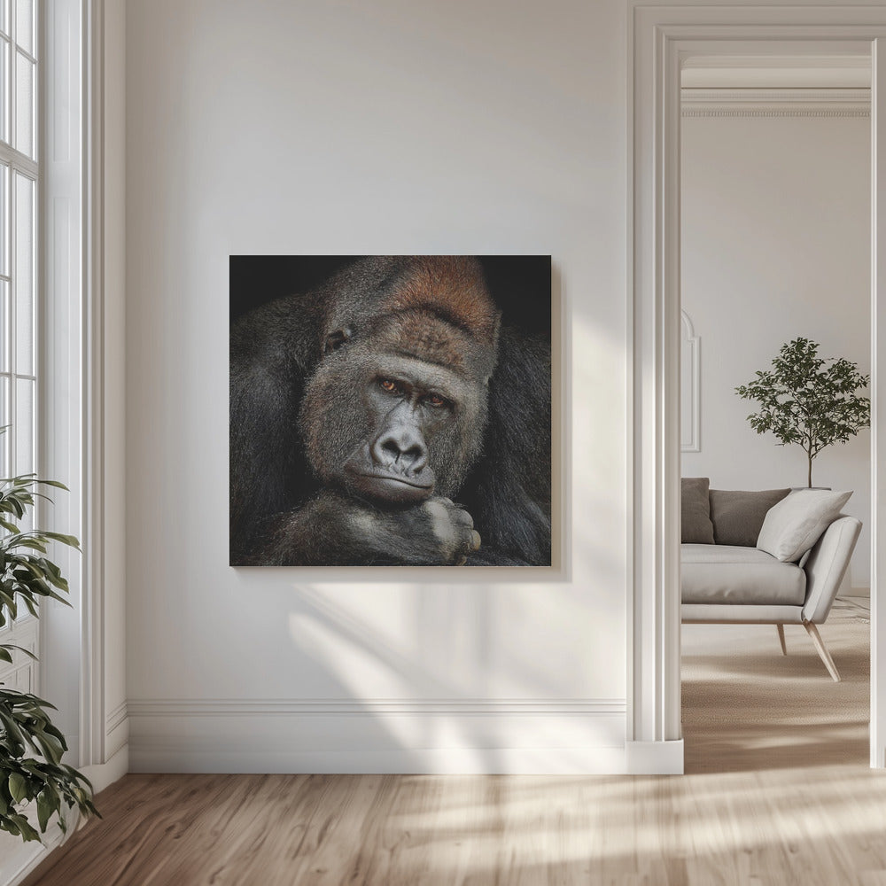 ETT ÖGONBLICK I KONTAKT | Canvas