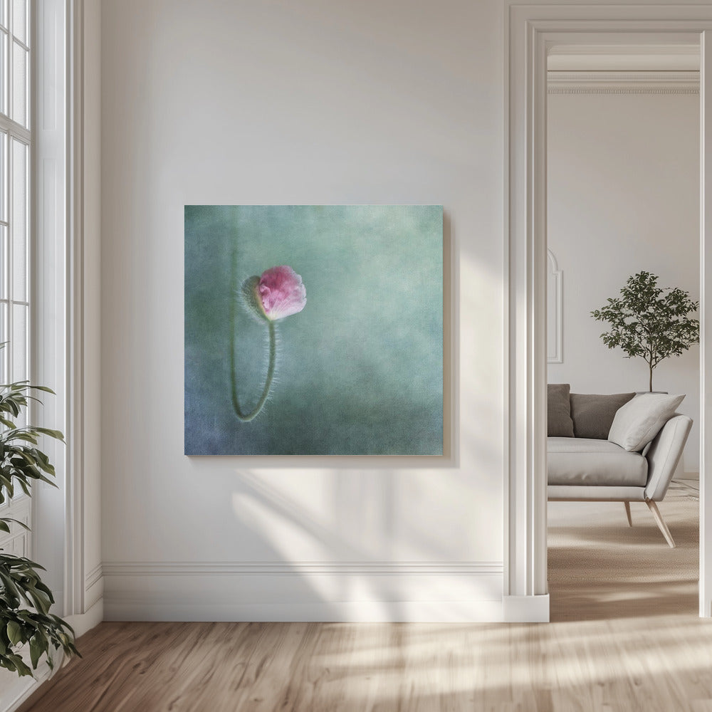 Förtroende | Canvas