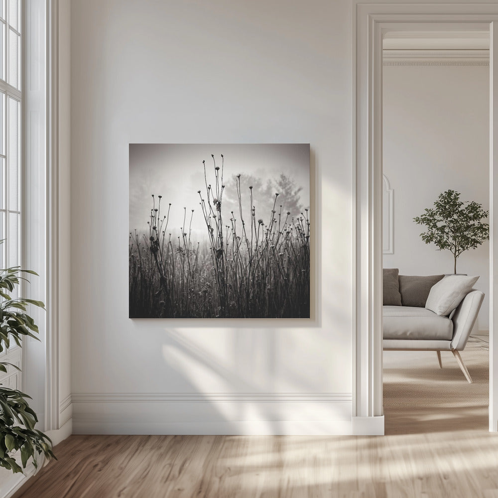 Plantes des prés 1 | Tableaux sur Toile