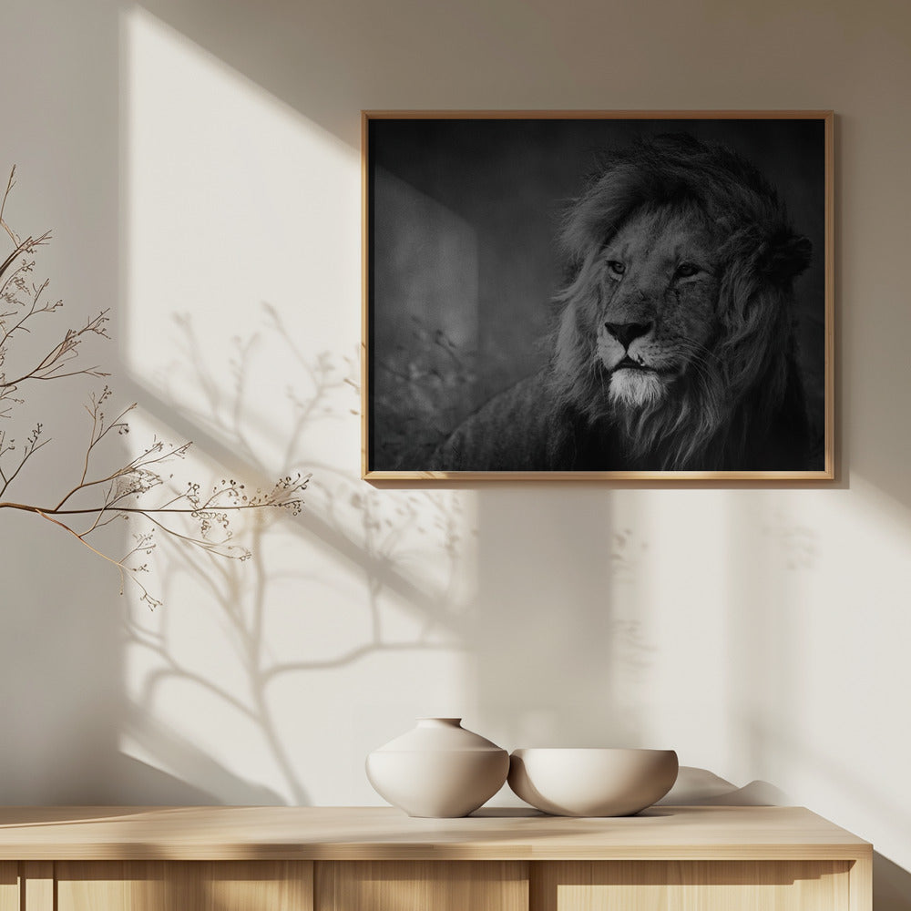 Regal | Affisch