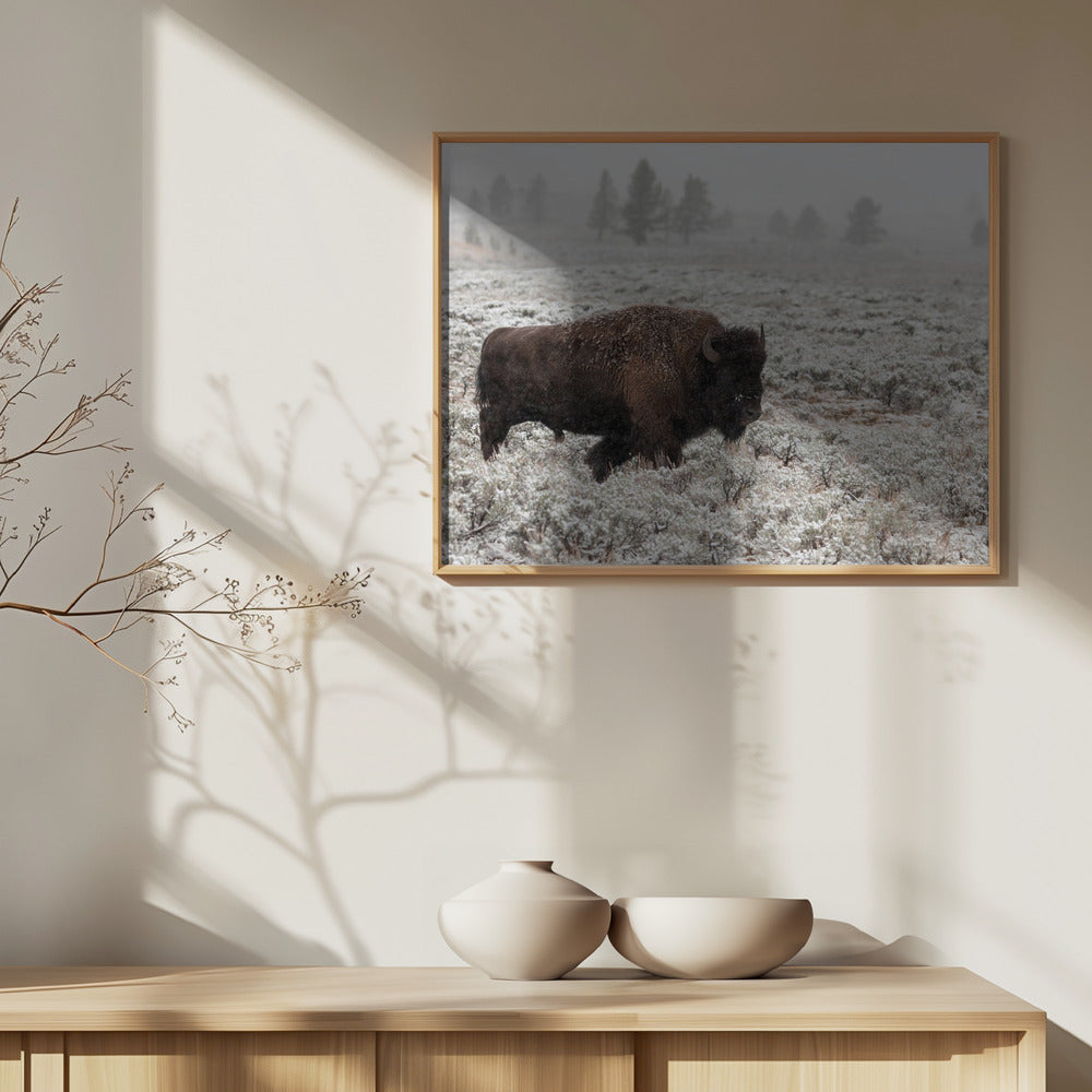 Senhöst Yellowstone | Poster