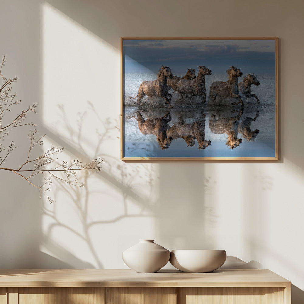 Hästar och reflektion | Poster