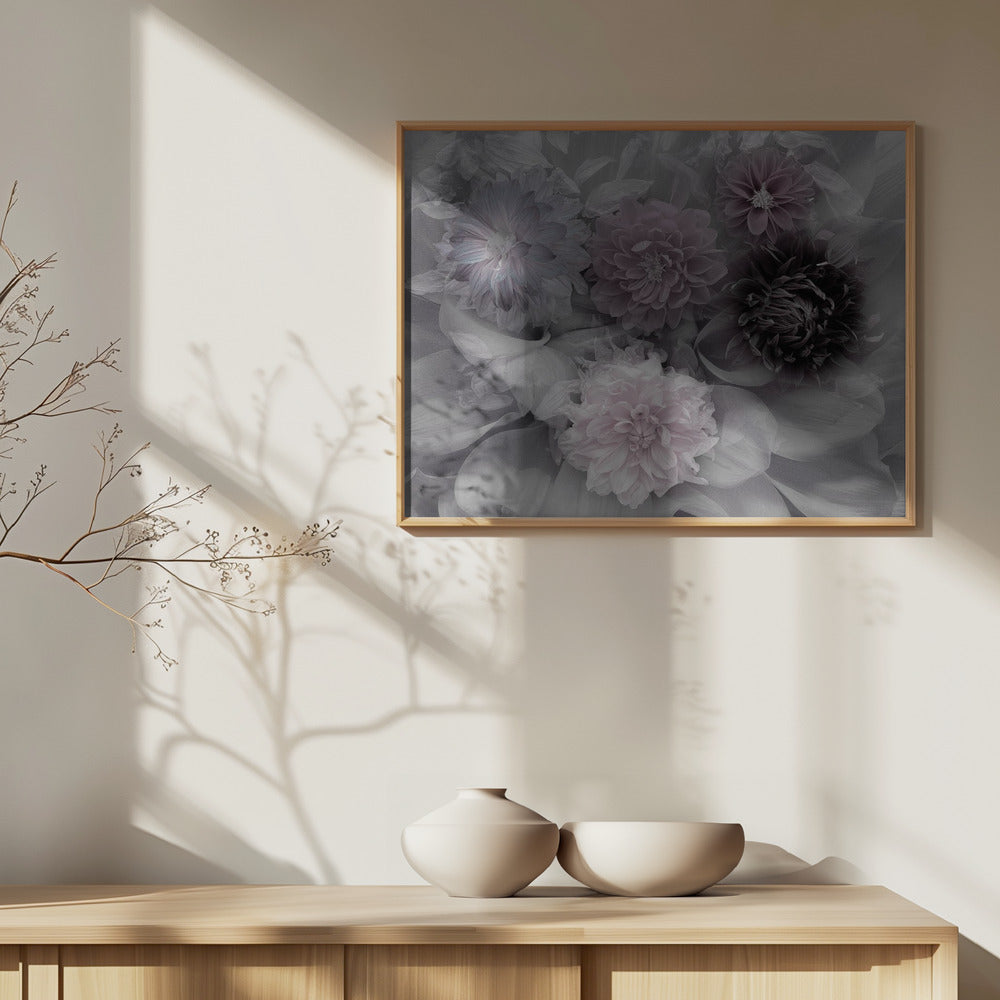Dahlia dröm | Poster
