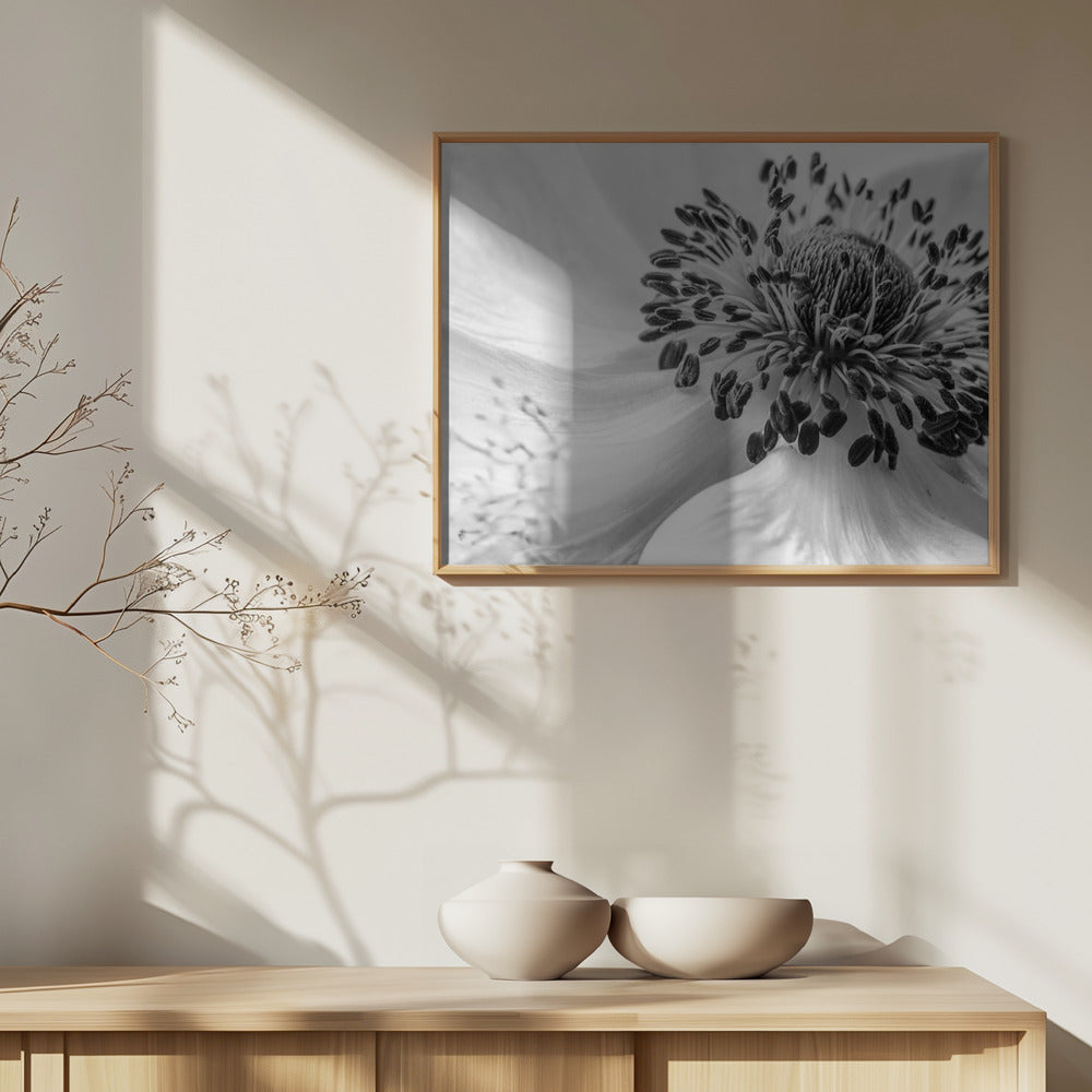 Anemone | Plakater - Kunsttrykk
