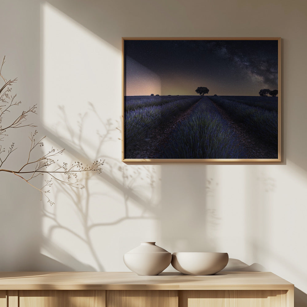 Lavender fields | Poster