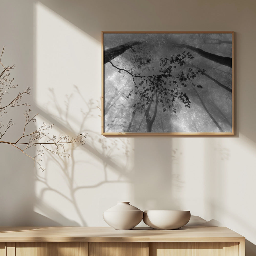 The branch | Poster