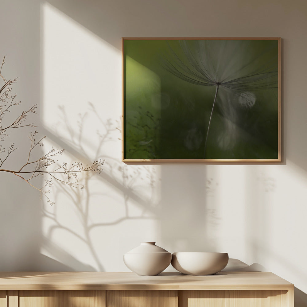 Shadows in the green | Poster