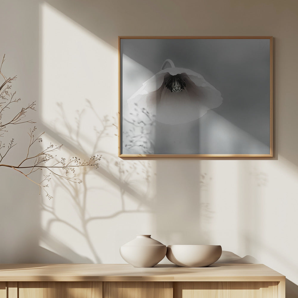 Ephemeral Beauty | Poster