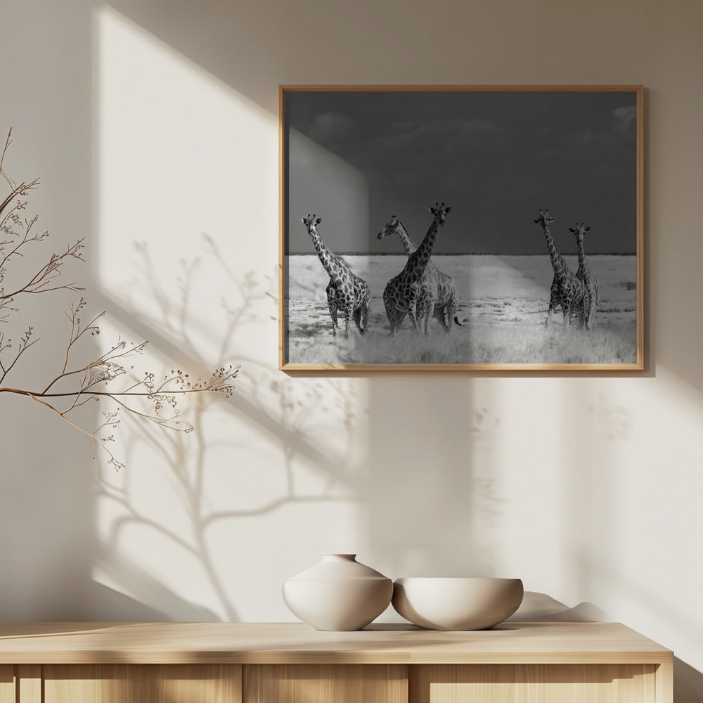 Titta Flicka Konstiga Djur | Poster