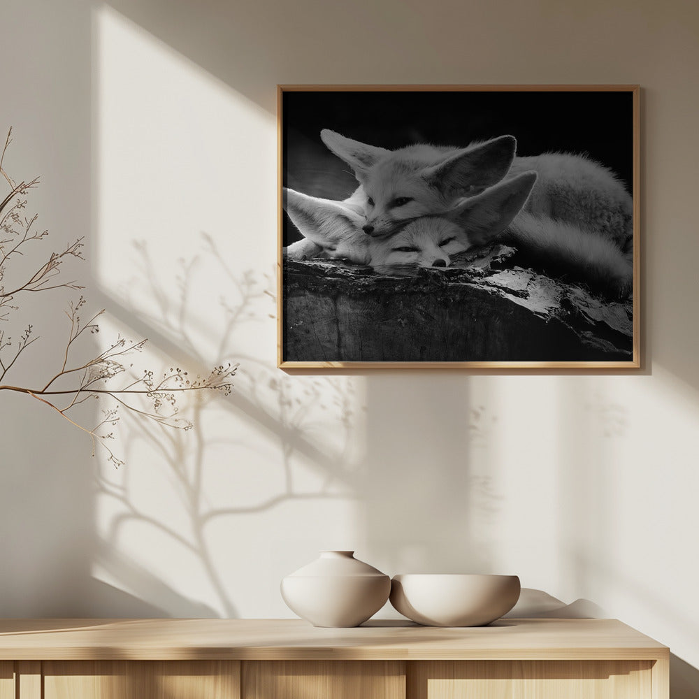 Det lyckliga paret | Poster