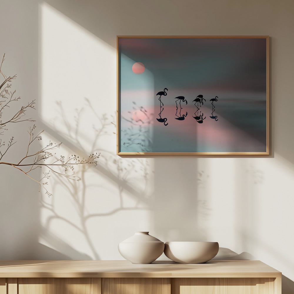 Familj flamingos. | Poster