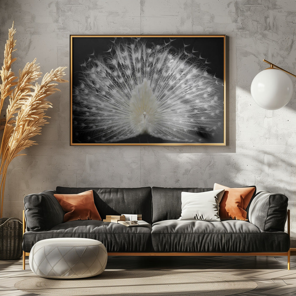 svartvitt, | Poster