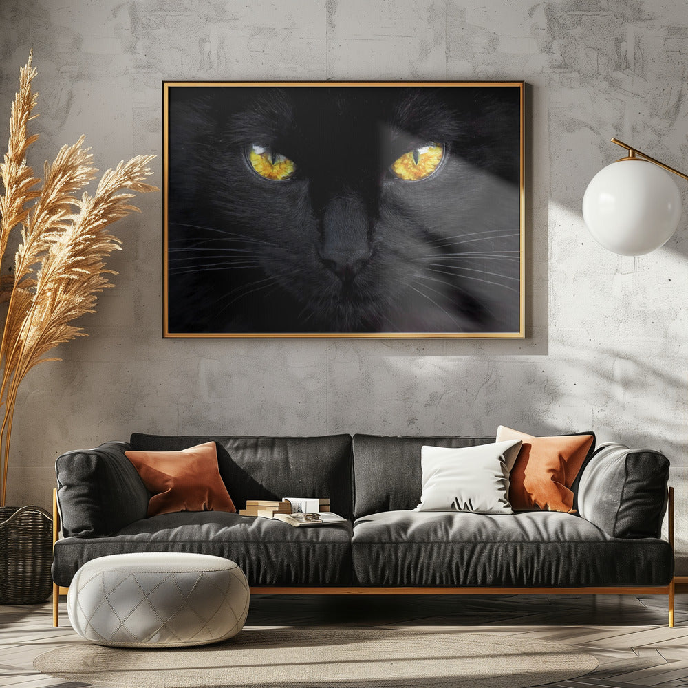 The hypnotist of the night | Poster