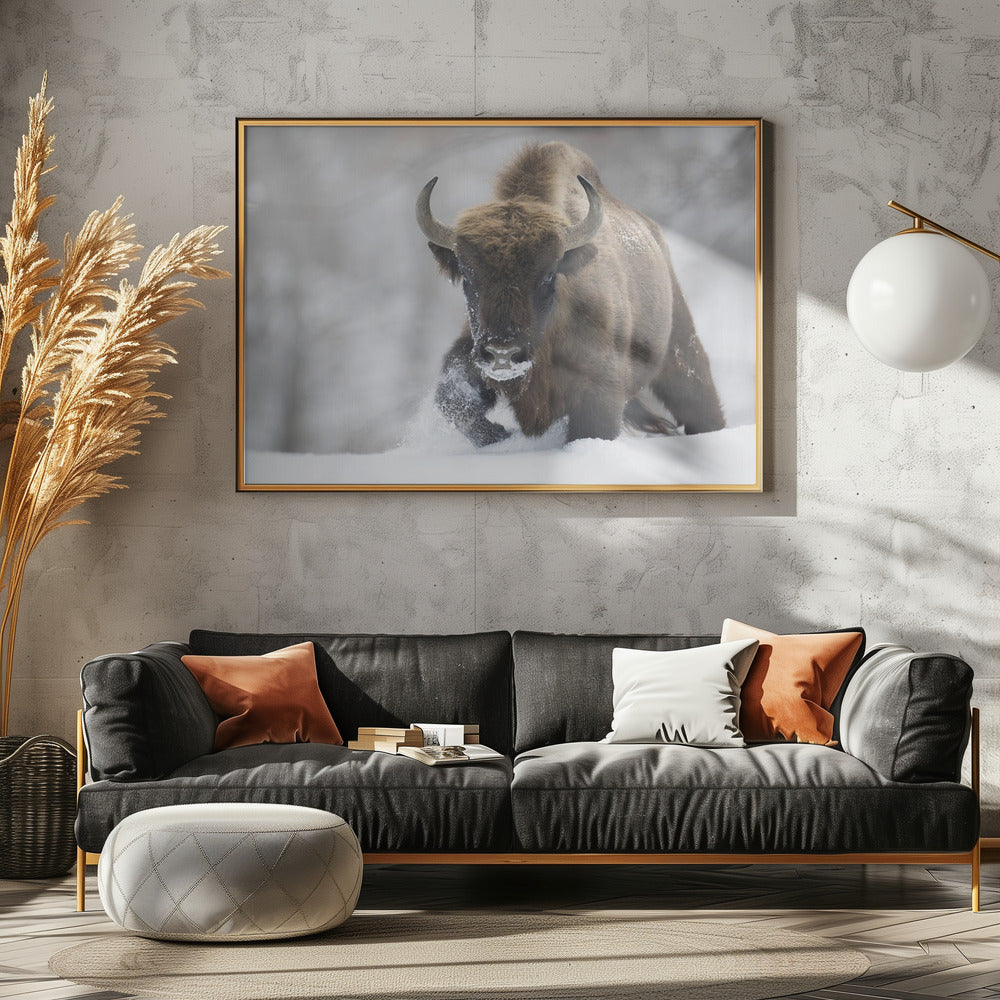 Återvildad | Poster