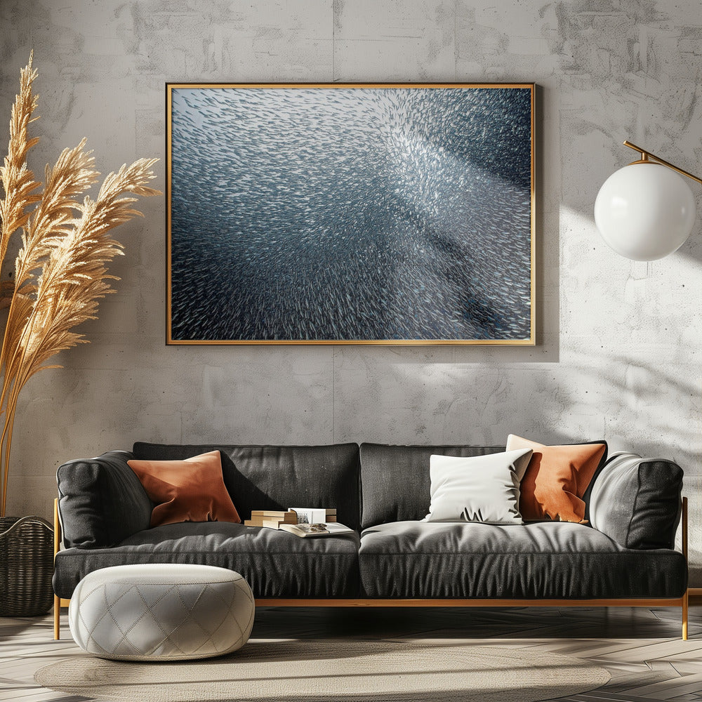 Sardiner Fyrverkeri | Poster