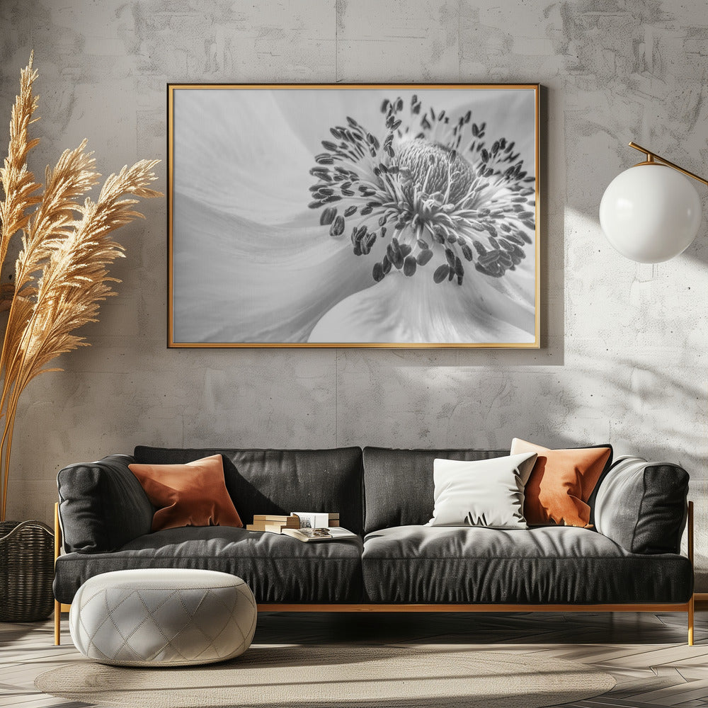 Anemone | Plakater - Kunsttrykk