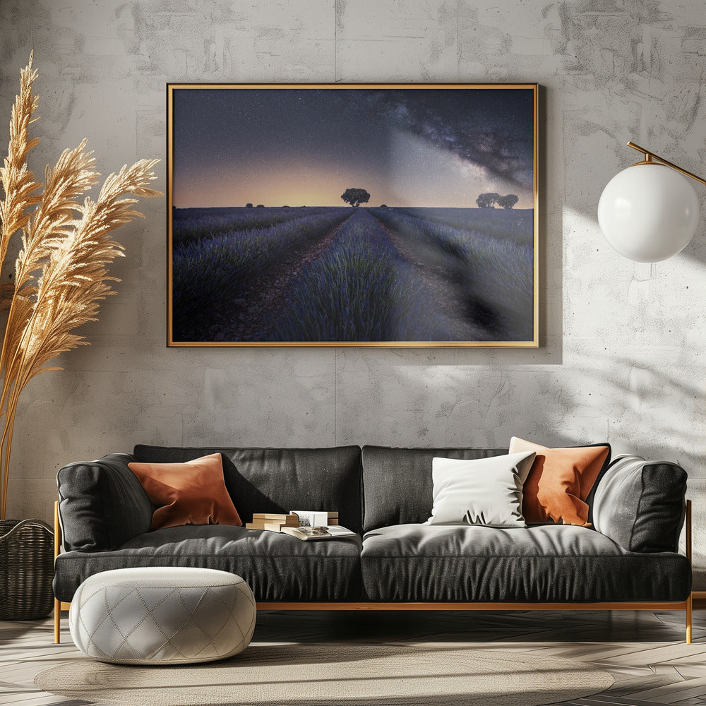 Lavender fields | Poster