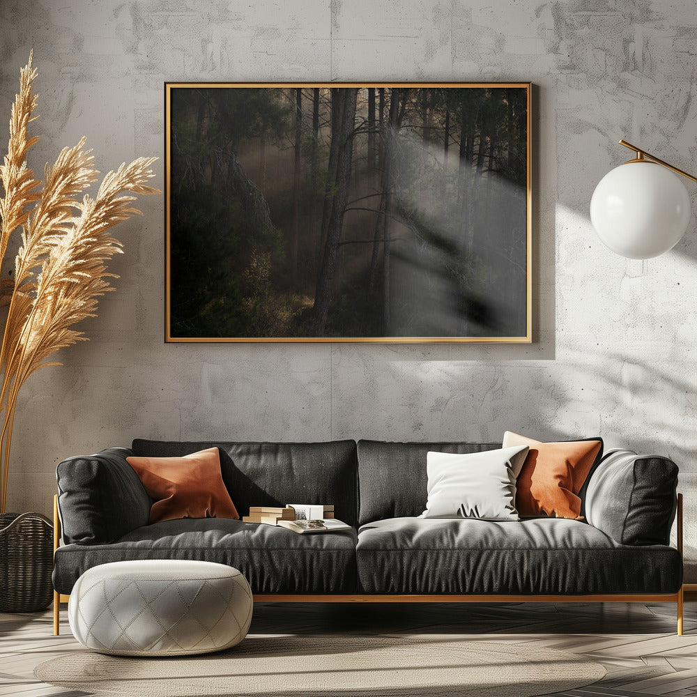 The Magic wood | Poster