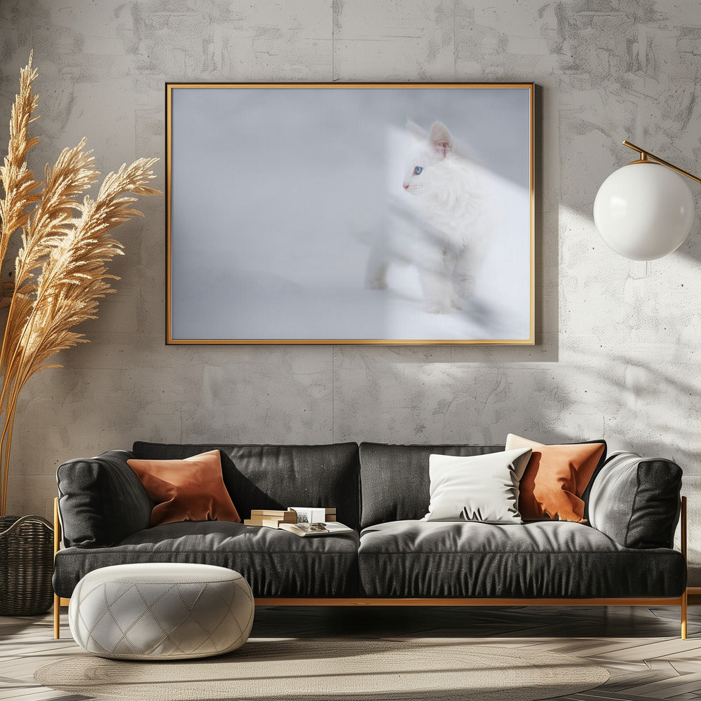 Vit som snö | Poster