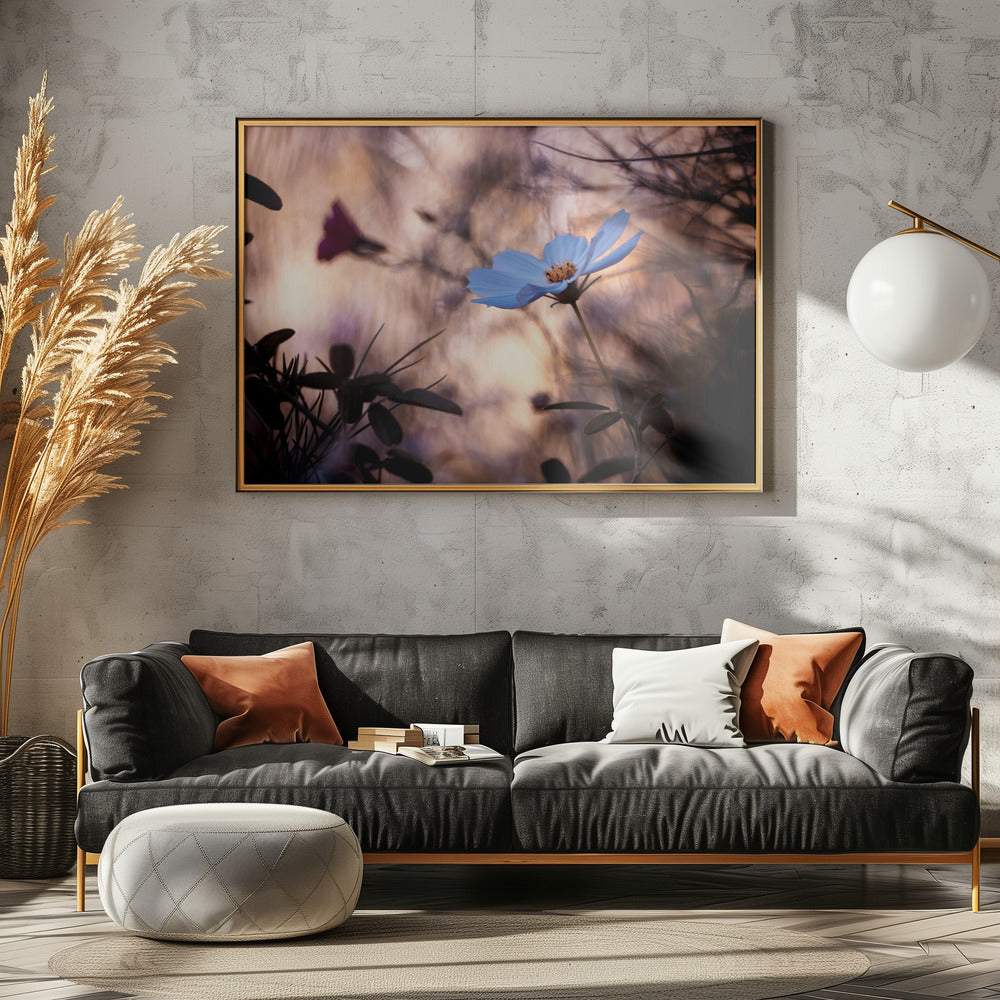 Likgiltighet | Poster