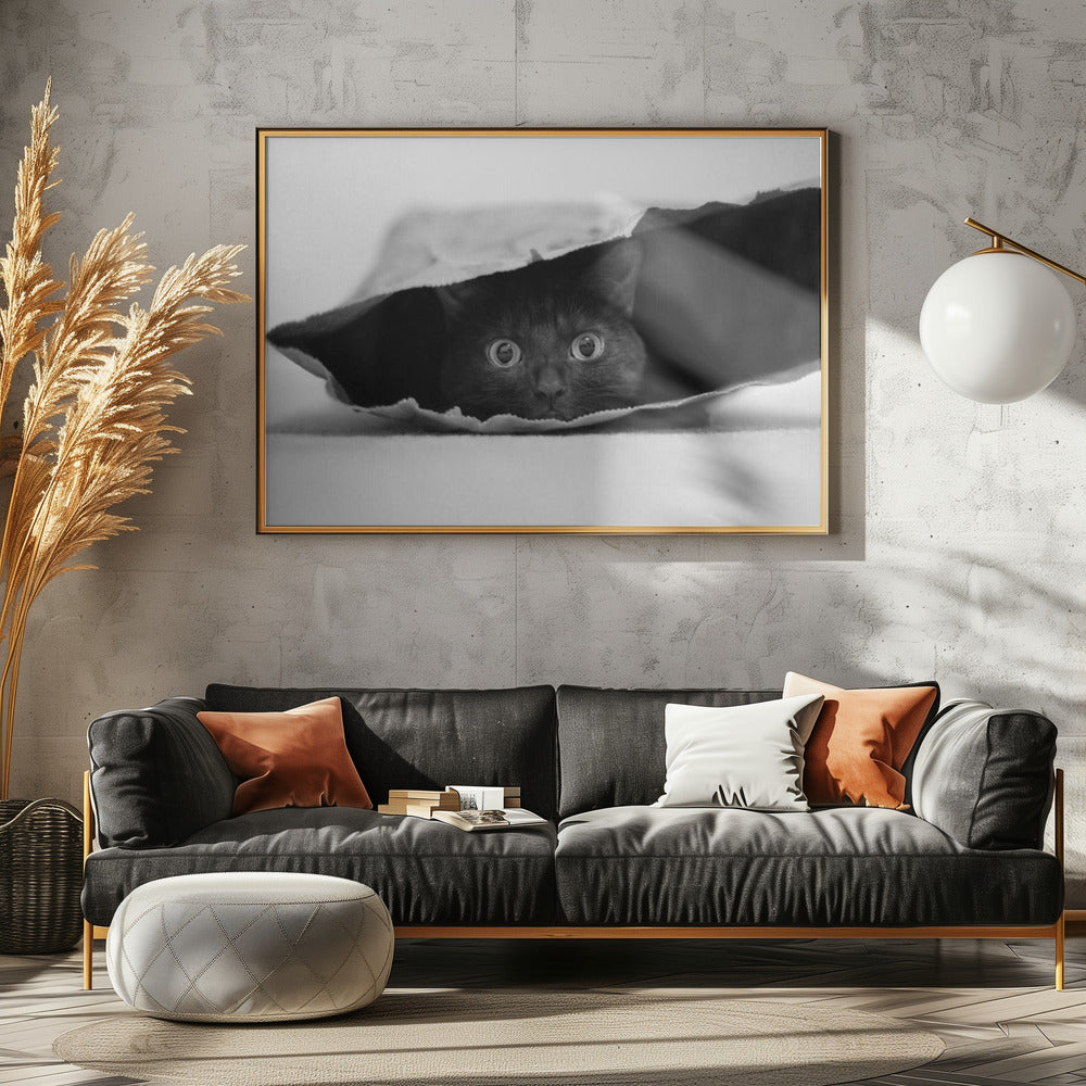 Katt i en påse | Poster