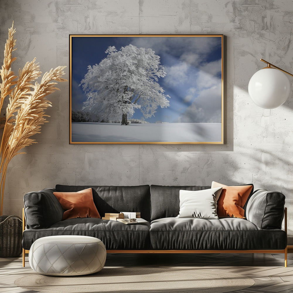 Vit vindbok i Schwarzwald | Poster