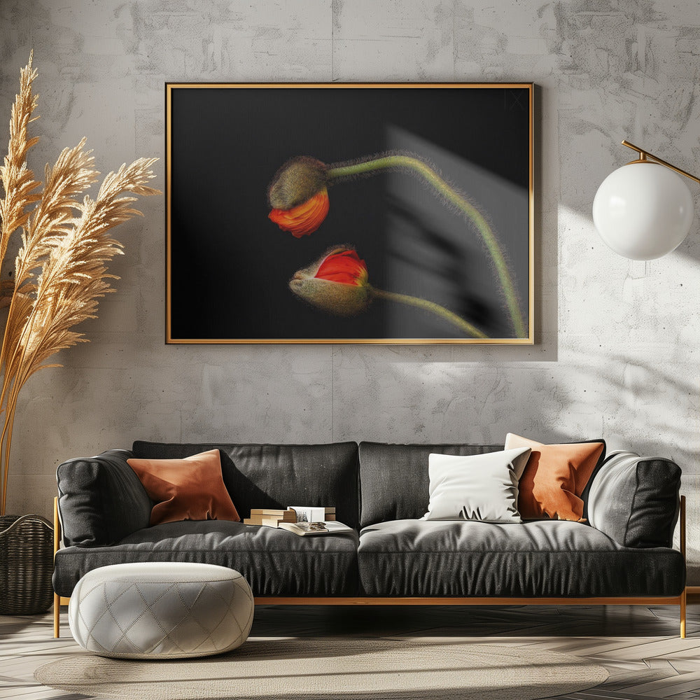 Tango Argentino | Poster