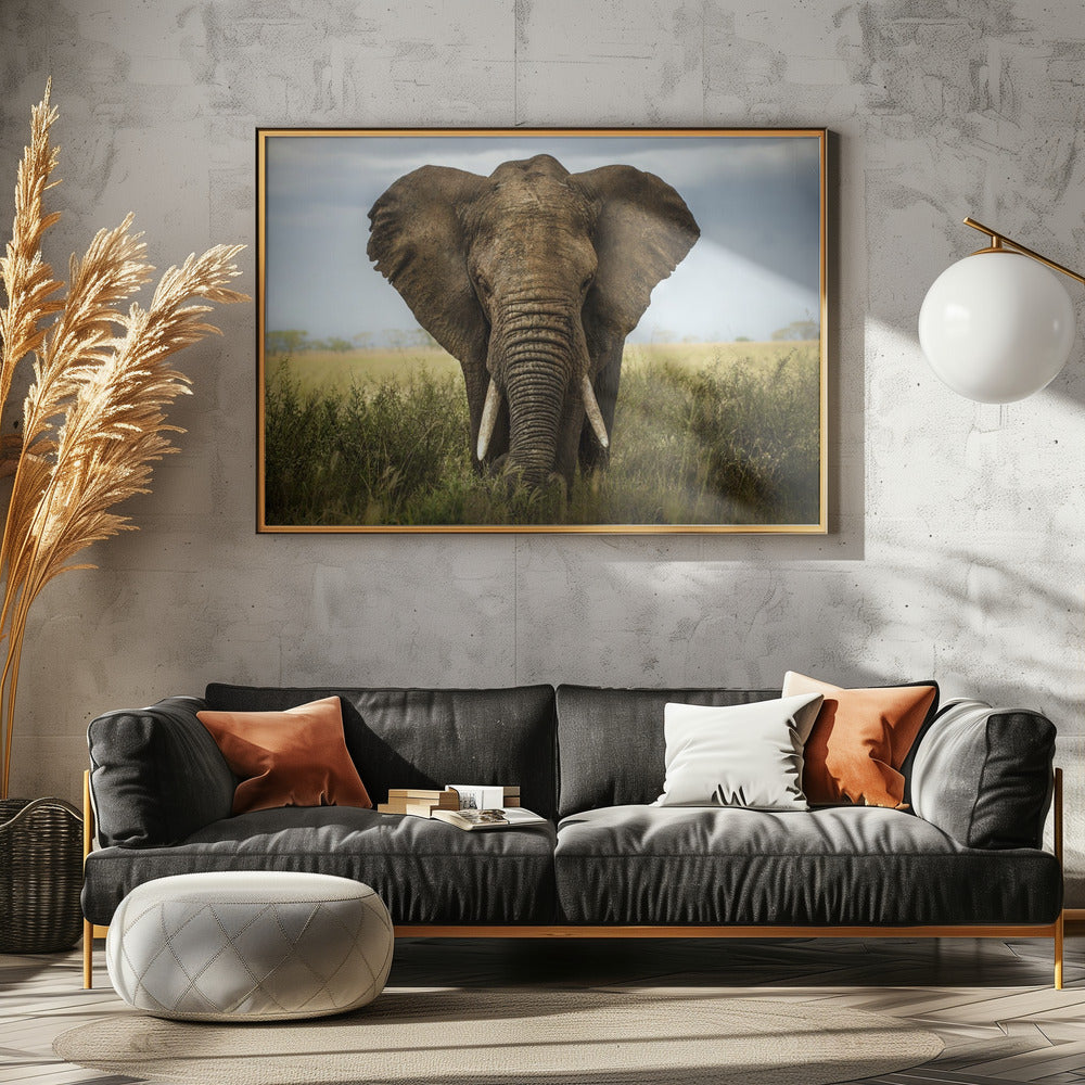 Möten i Serengeti | Poster